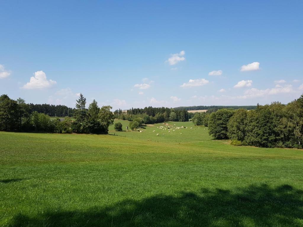 Landgasthof Gruener Baum Regnitzlosau Екстериор снимка